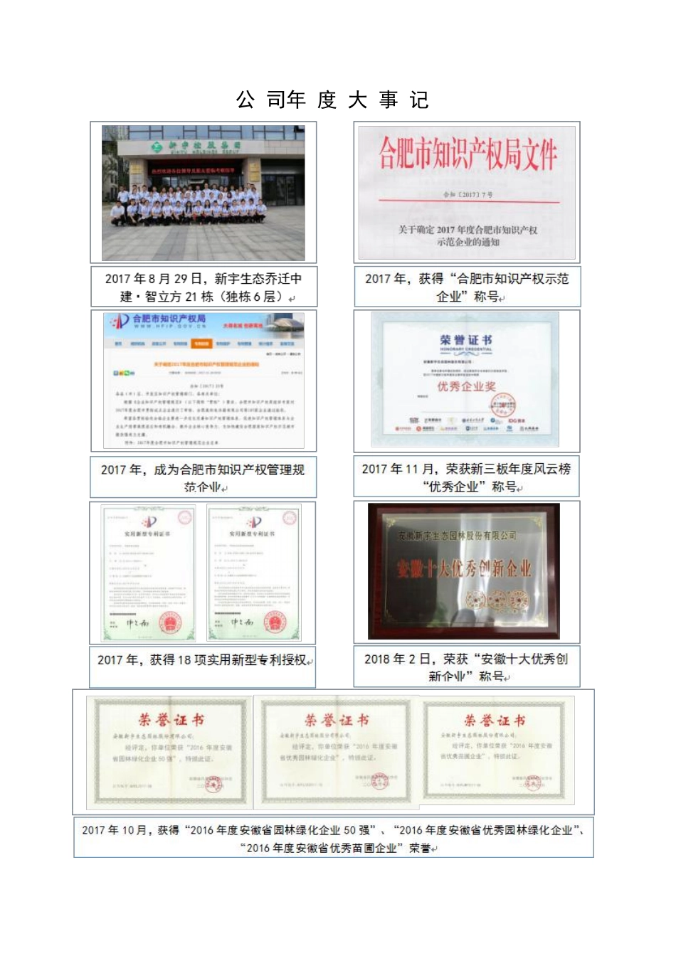 871285_2017_新宇生态_2017年年度报告_2018-04-02.pdf_第2页