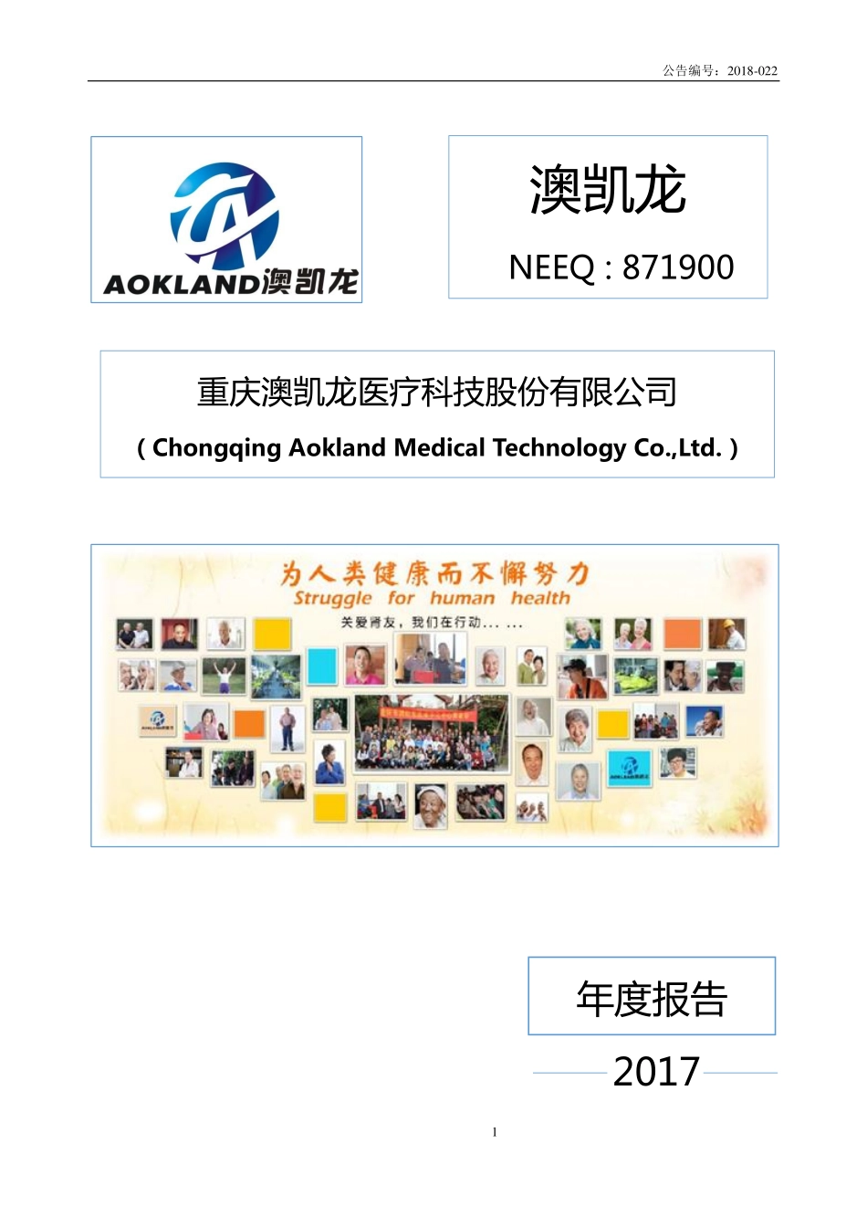 871900_2017_澳凯龙_2017年年度报告_2018-07-25.pdf_第1页