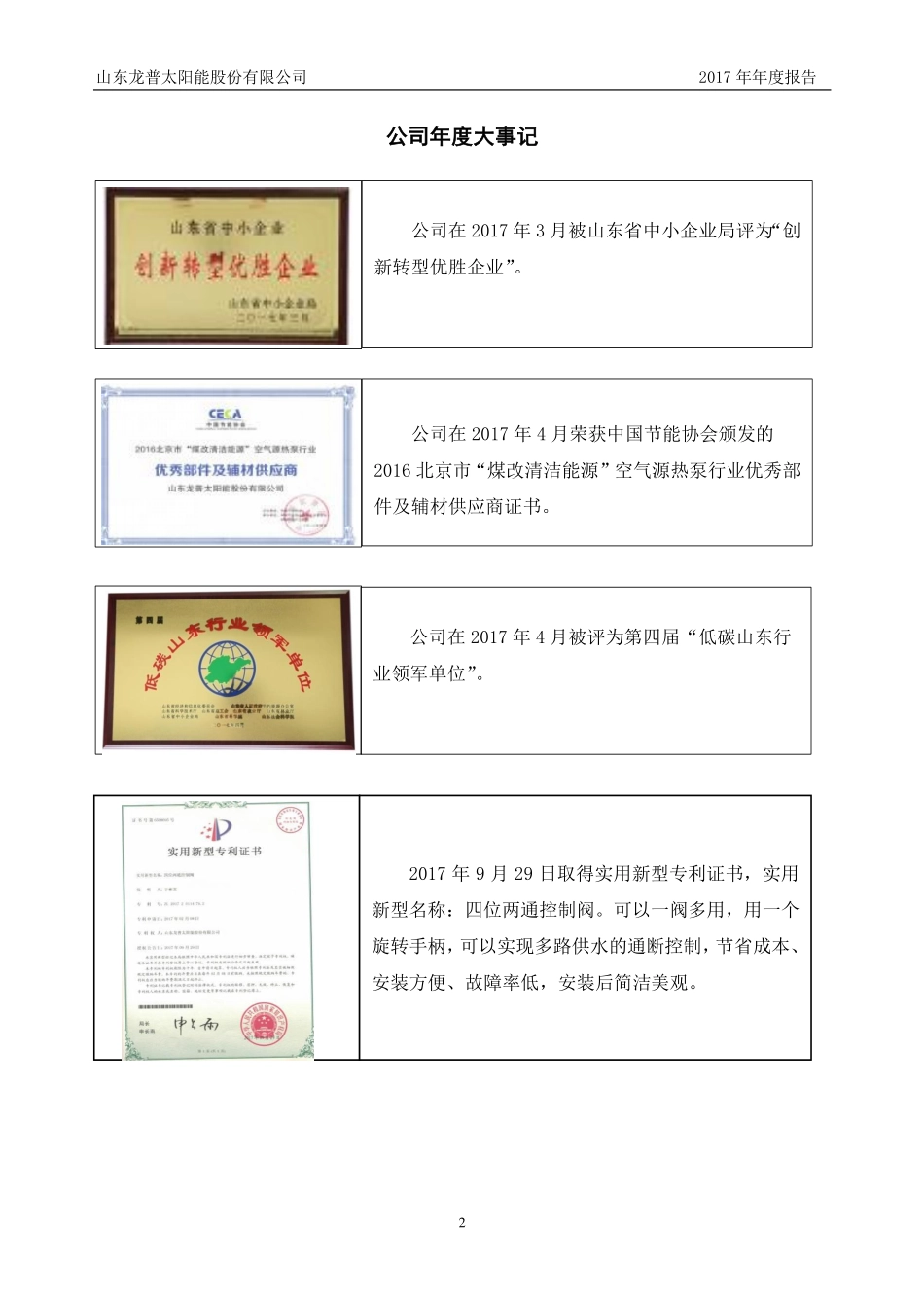 870395_2017_龙普股份_2017年年度报告_2018-03-26.pdf_第2页