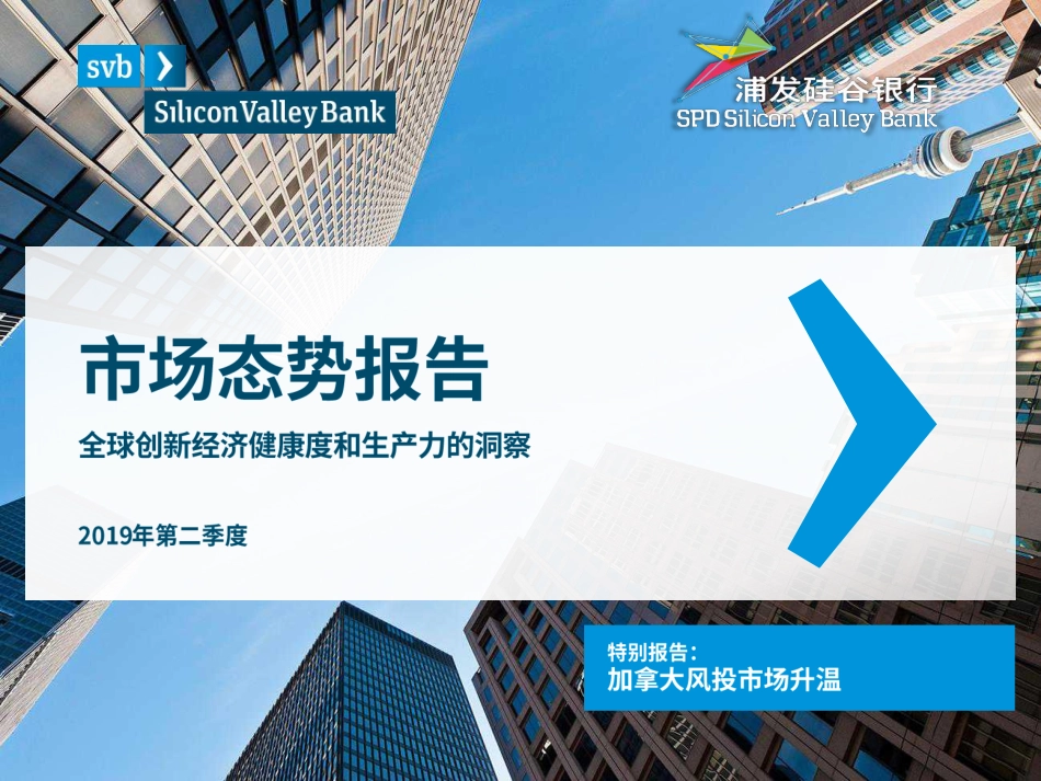 2019Q2全球创新经济健康度与生产力洞察-浦发硅谷银行-2019.7-33页.pdf_第1页