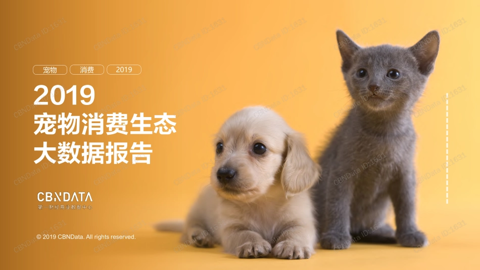 2019宠物消费生态大数据报告 -CBNData-2019.7-63页.pdf_第1页
