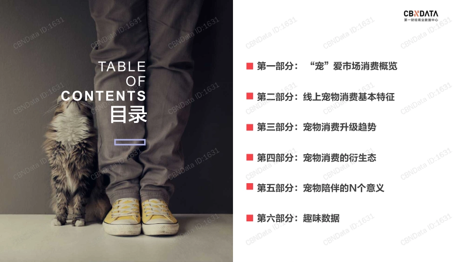 2019宠物消费生态大数据报告 -CBNData-2019.7-63页.pdf_第3页
