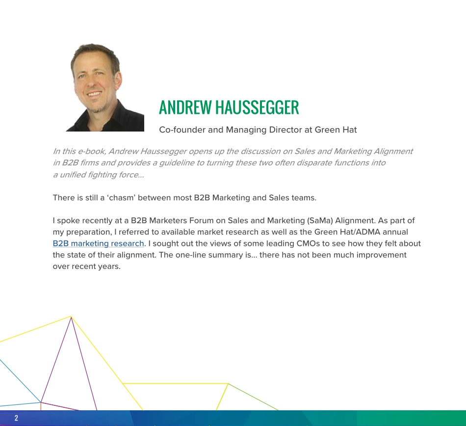 Greenhat-B2B销售和营销协助的投资回报率（英文版）-2019.7-18页.pdf_第3页