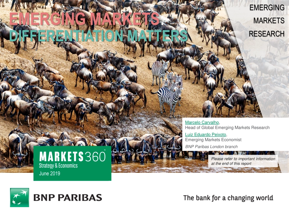 巴黎银行-新兴市场-投资策略-我们如何分析新兴市场？-20190606-49页 (2).pdf_第1页