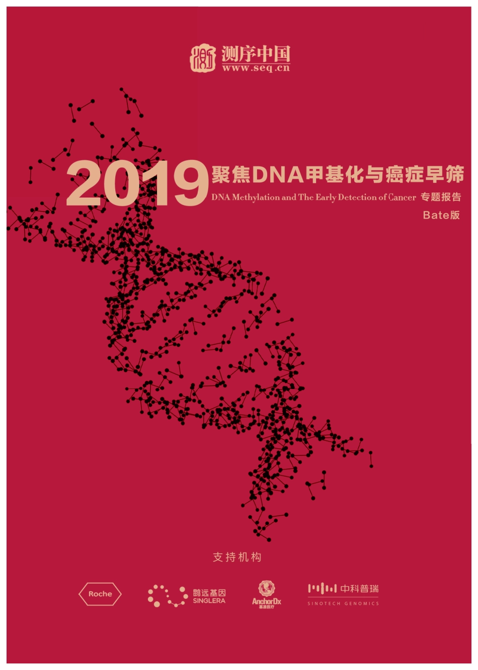 测序中国-2019 聚焦DNA甲基化与癌症早筛专题报告-2019.1-60页.pdf_第1页