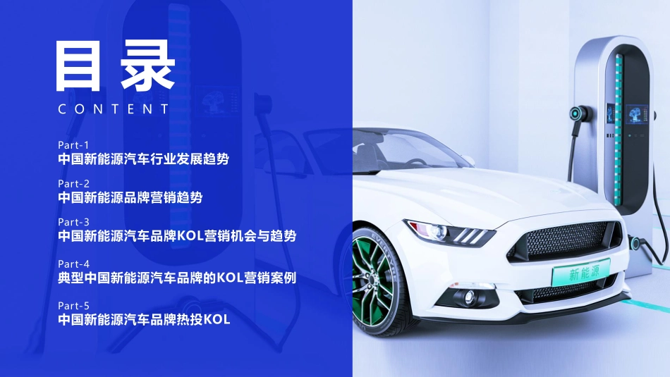 中国新能源电动汽车品牌kol营销解决方案-微播易.pdf_第2页