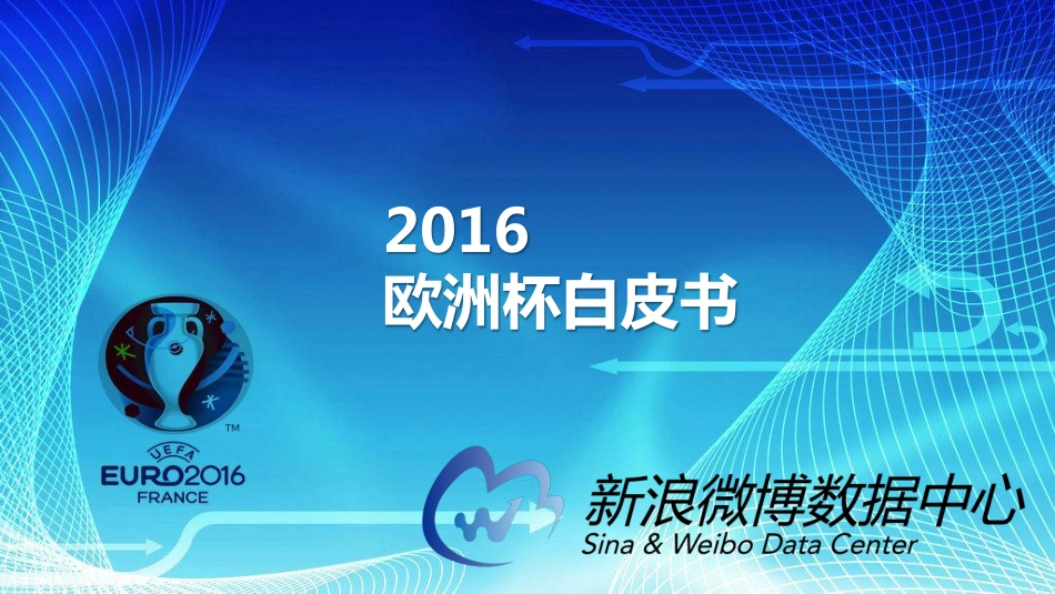 欧洲杯白皮书.pdf_第1页