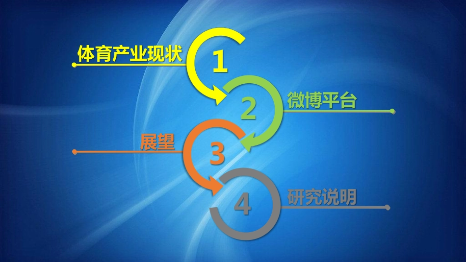 欧洲杯白皮书.pdf_第2页