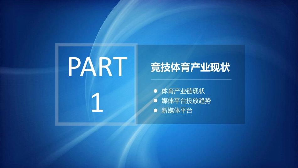 欧洲杯白皮书.pdf_第3页