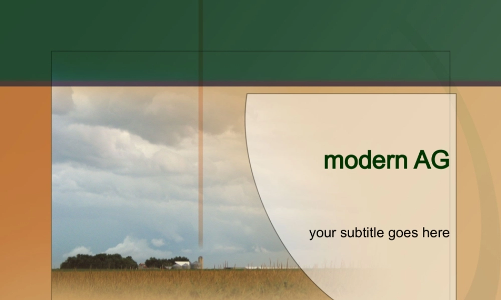 答辩PPT模板欧美风24.ppt