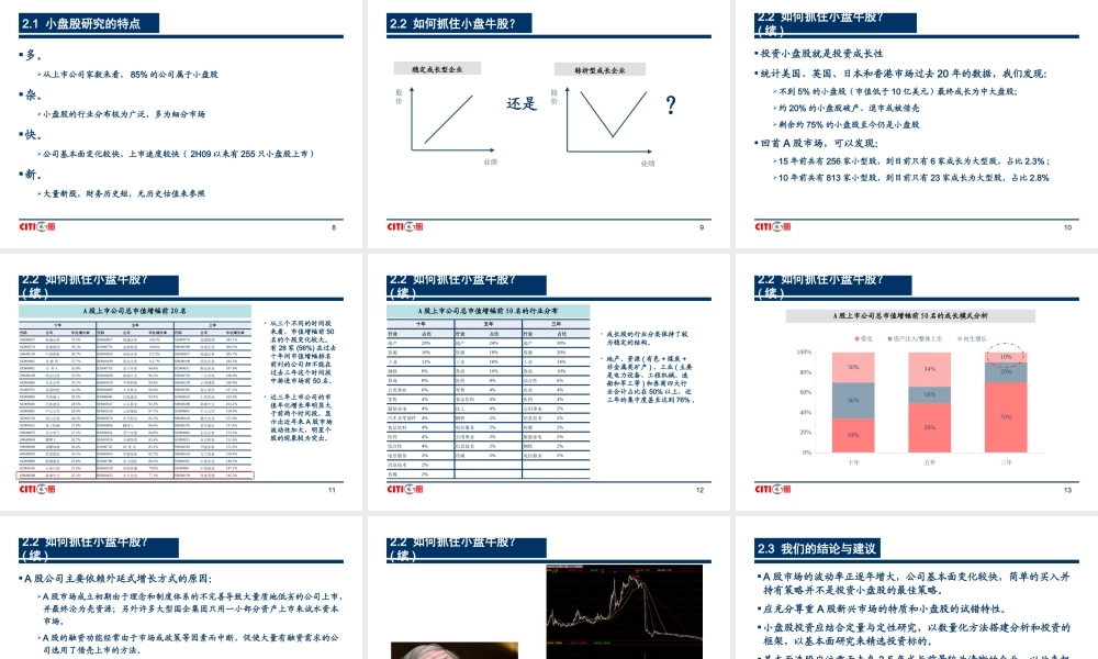小盘股投资逻辑与研究方法.ppt