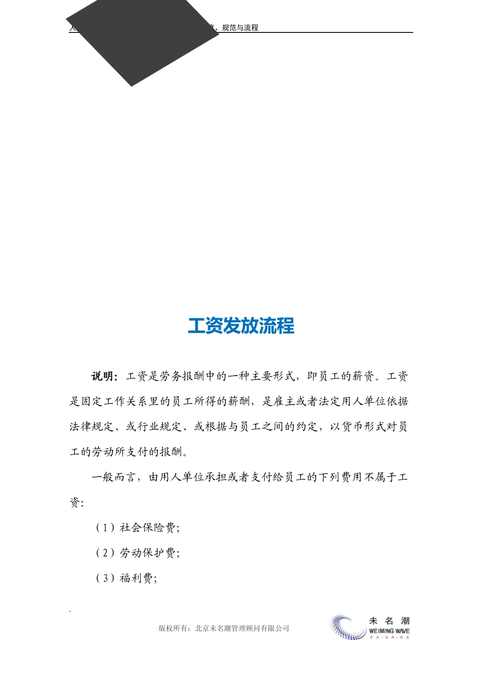 工资发放流程.docx_第3页