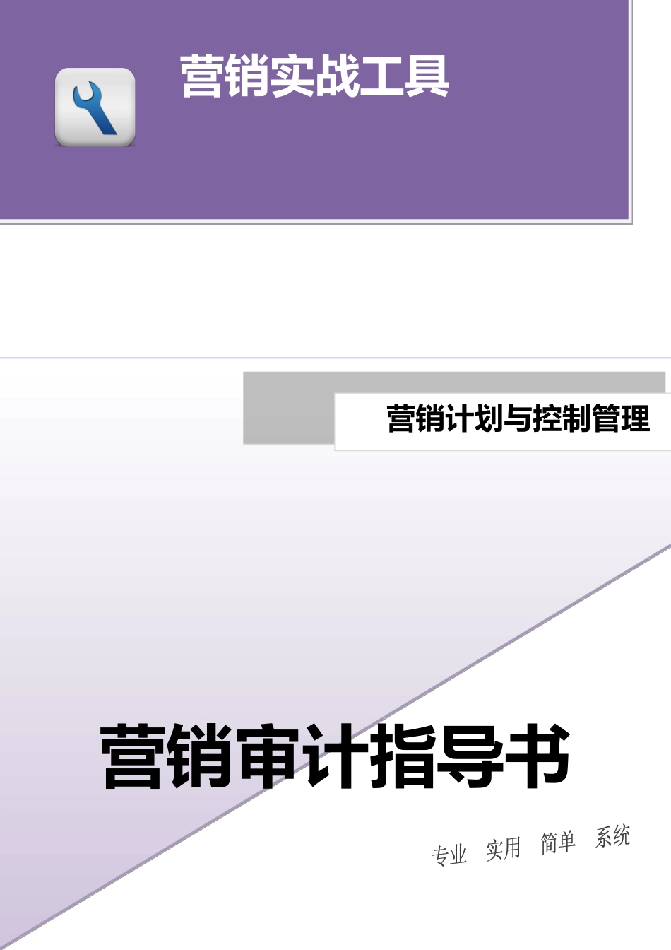 营销审计指导书.docx_第1页