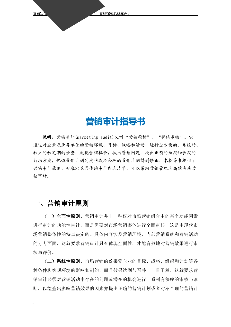 营销审计指导书.docx_第3页