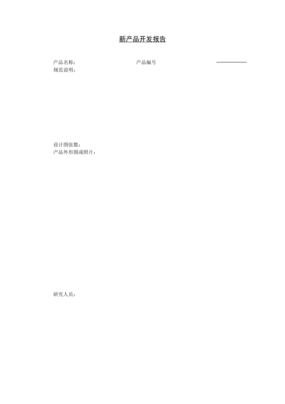 新产品开发报告 (2).DOC_第1页