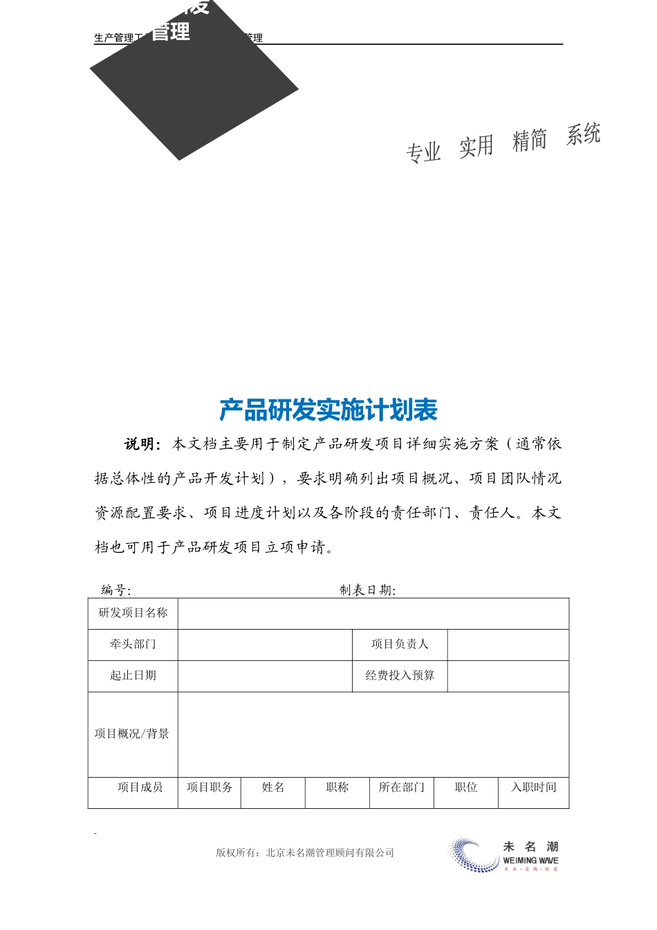 产品开发实施计划表.doc (2).docx_第3页