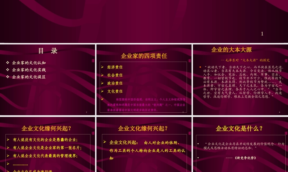企业家的企业文化.ppt