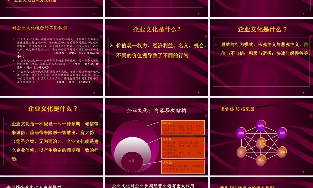 企业家的企业文化.ppt