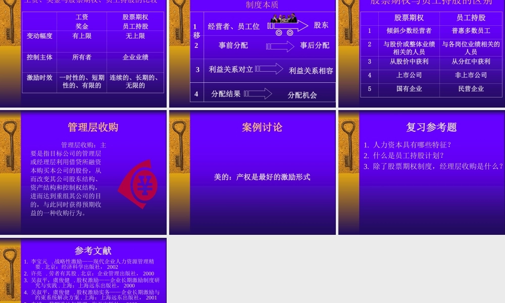 人力资源管理9-股权激励(ppt 20页).ppt