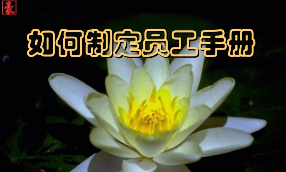 如何制定员工手册 (2).ppt
