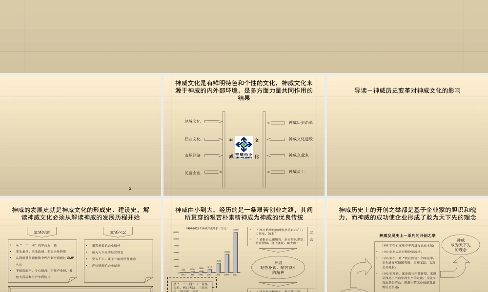 神威药业企业文化诊断报告.ppt