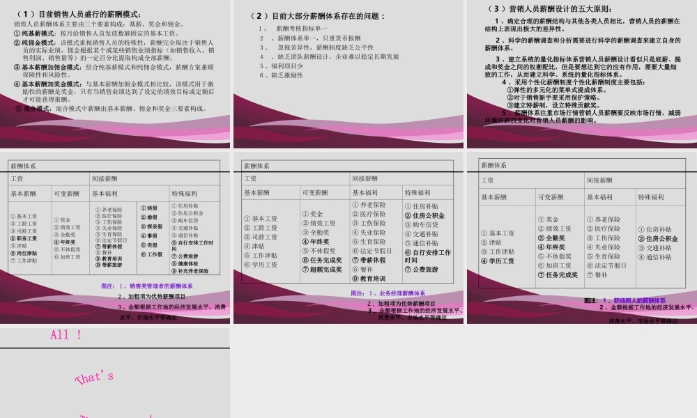 销售人员的薪酬管理.ppt