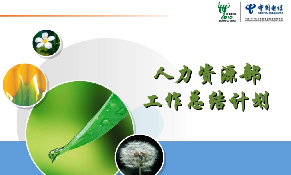 中国电信人力资源部工作总结.ppt