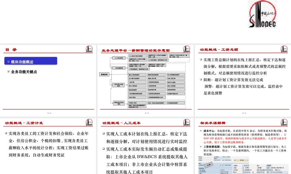中国石化SAP-HR系统功能培训(薪酬、人工成本培训).ppt