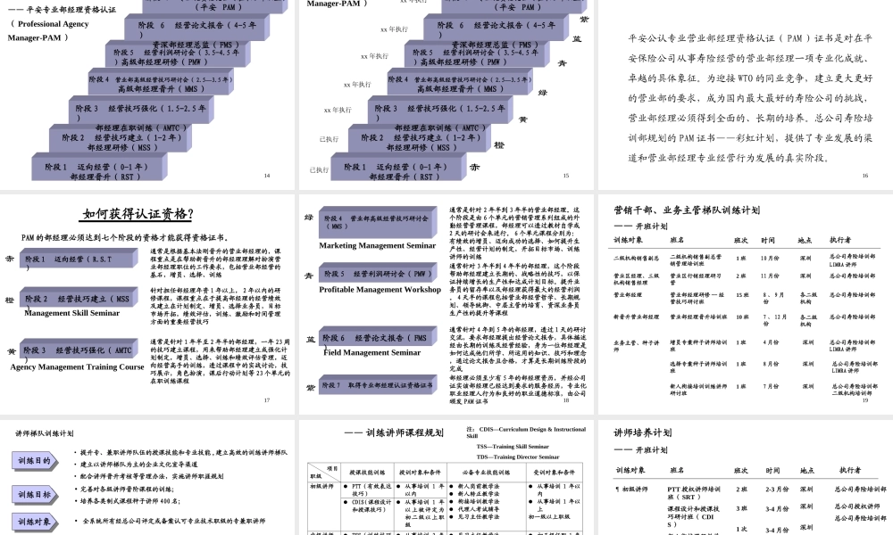 中国平安公司培训计划.ppt