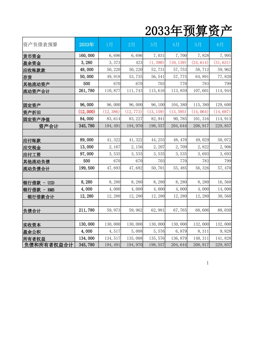 预算资产负债表.xlsx_第1页