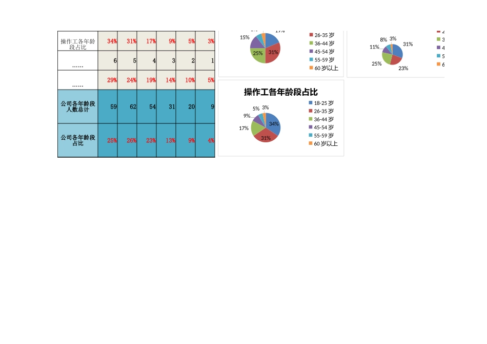 5-人力资源年龄结构分析（职位维度）.xlsx_第2页