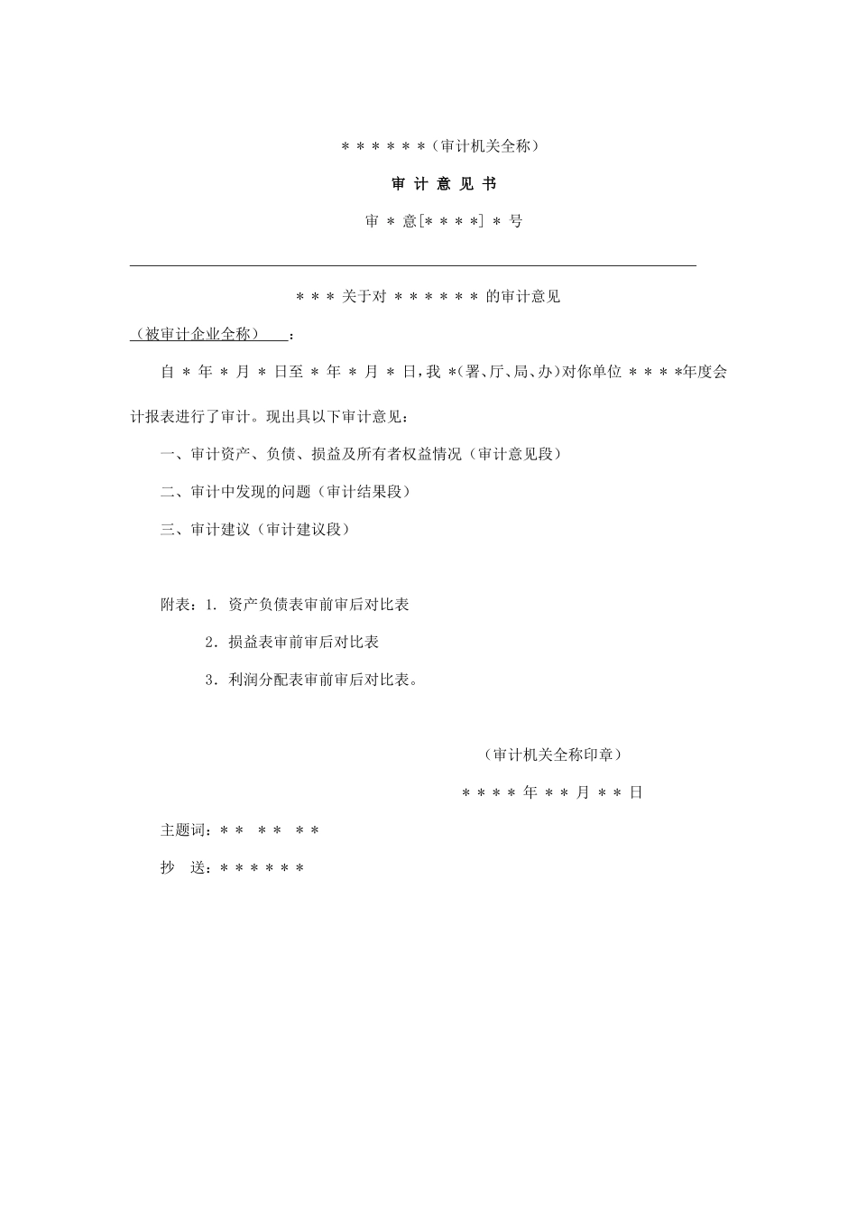 审计报告W-04审计意见书.doc_第1页