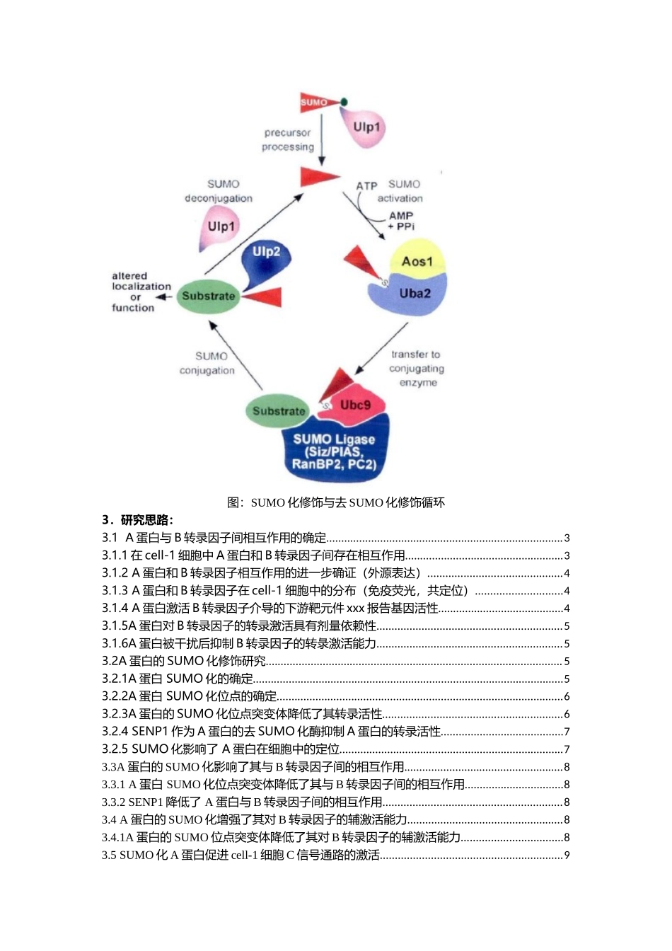 1、蛋白翻译后修饰- SUMO化.docx_第2页