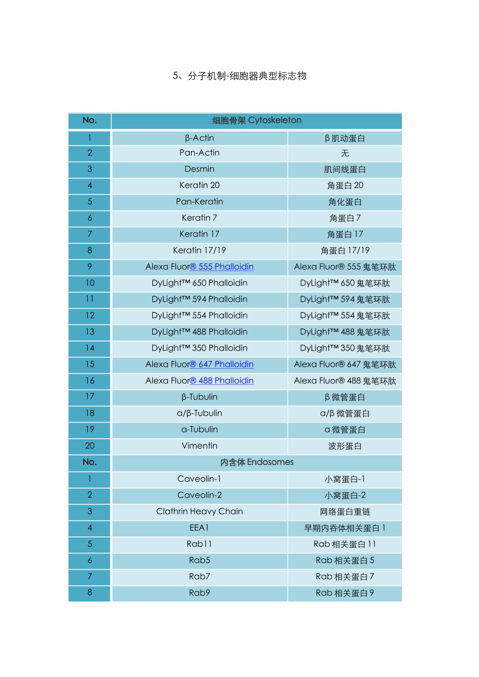 5.5、分子机制-细胞器典型标志物.docx_第1页