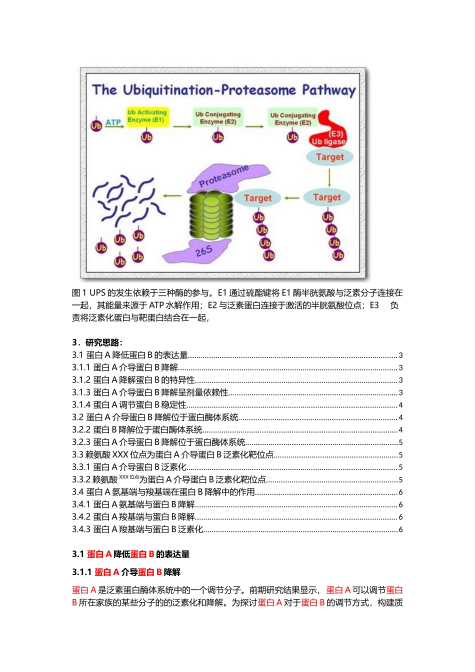 2、蛋白翻译后修饰-泛素化(1).docx_第2页