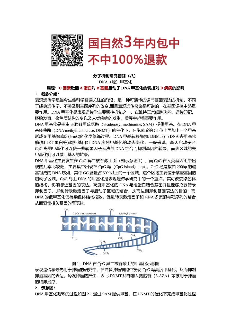 8、DNA（羟）甲基化.docx_第1页