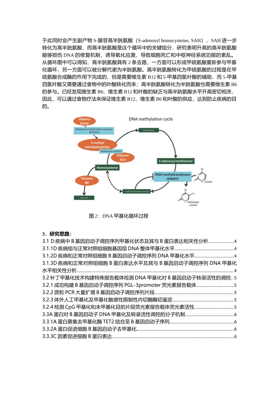 8、DNA（羟）甲基化.docx_第2页