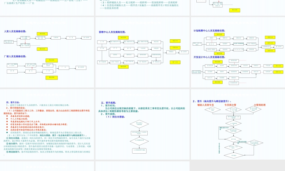 （方法）生涯规划—3、员工晋升通道及晋升办法.ppt