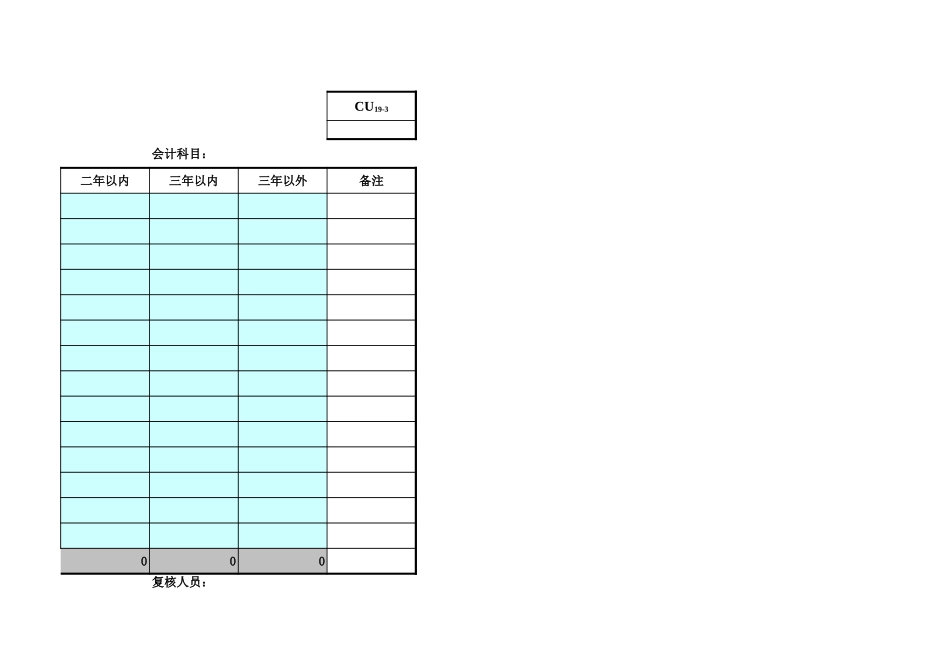 审计工具往来分析 (2).xls_第2页