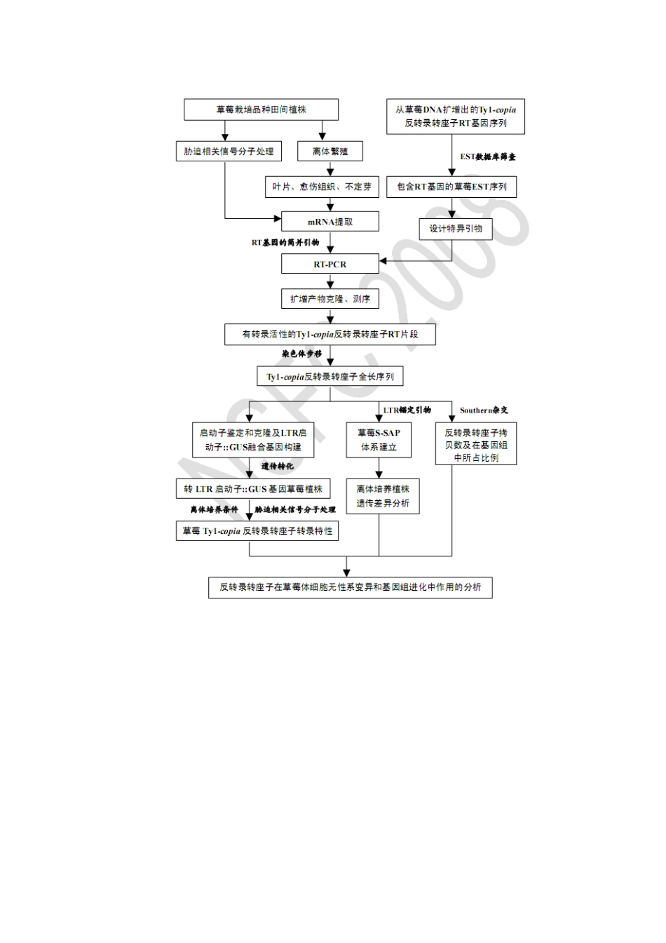 技术路线图2.doc_第1页