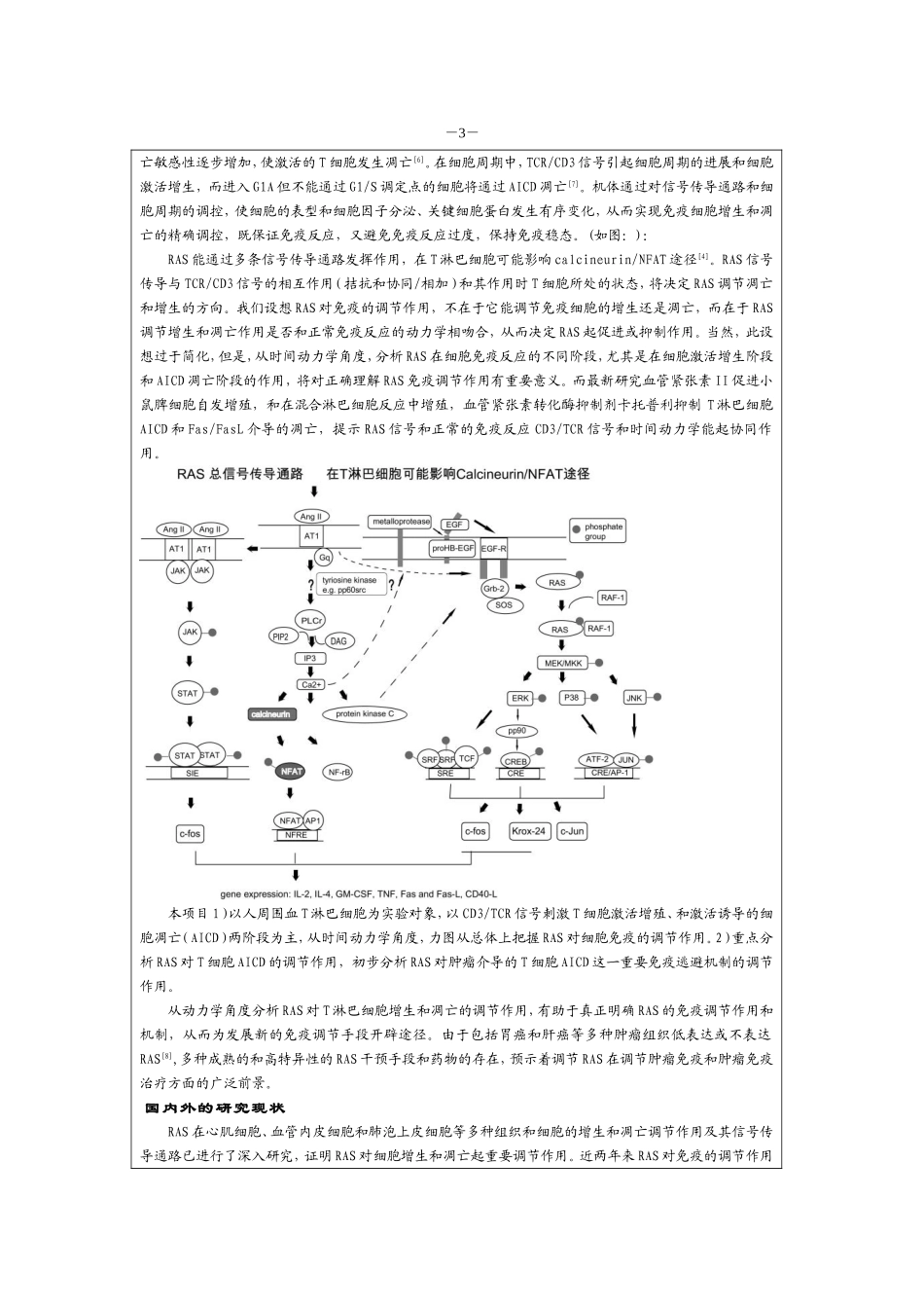 20026809 (2).doc_第2页