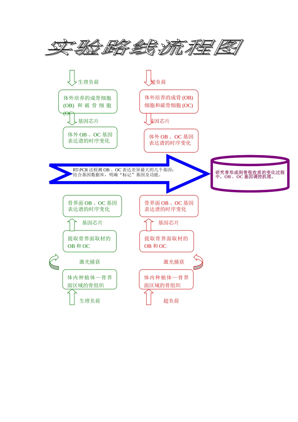 技术路线图1.doc_第1页