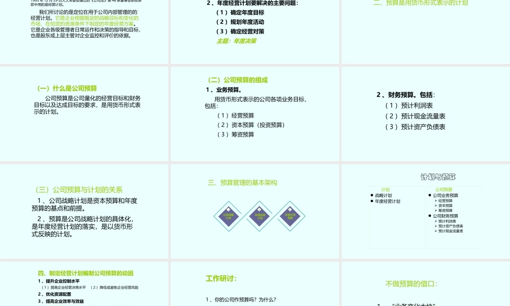 3、年度经营计划-与公司预算.pptx