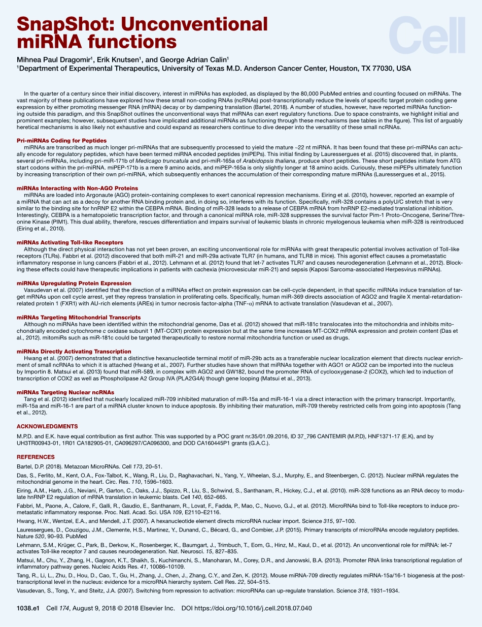 《Cell》非经典microRNA功能机制-unconventional miRNA functions.pdf_第2页