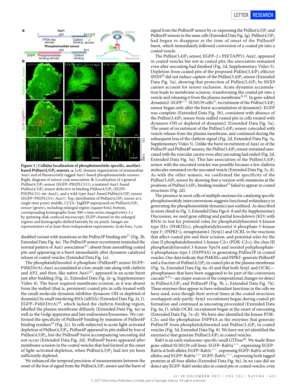 2017-He-Dynamics of phosphoinositide conversio(1).pdf_第2页