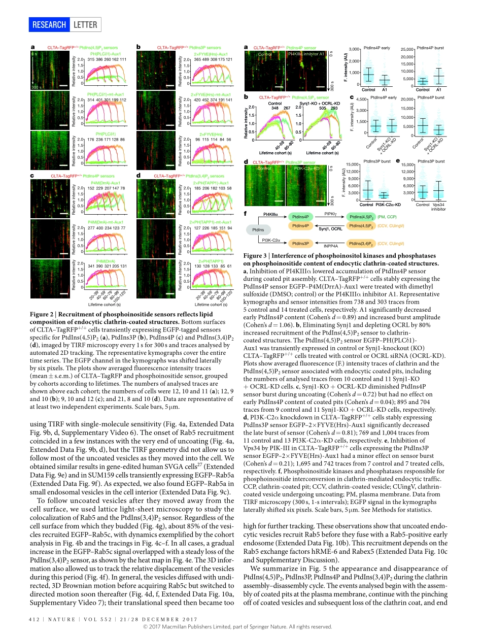 2017-He-Dynamics of phosphoinositide conversio(1).pdf_第3页