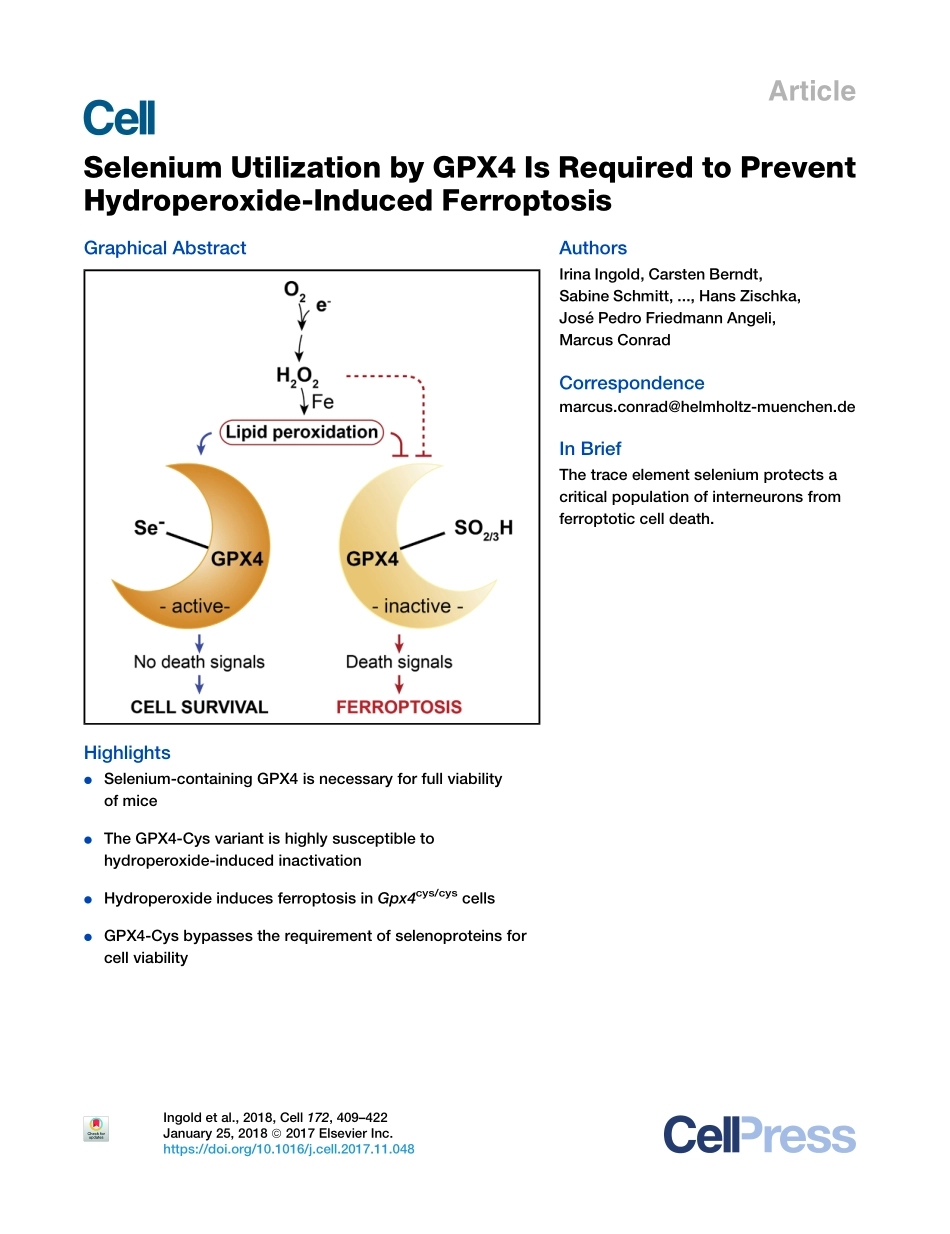 2018-Ingold-需要GPX4的硒利用来防止氢过氧化物诱导的Ferroptosis.pdf_第1页