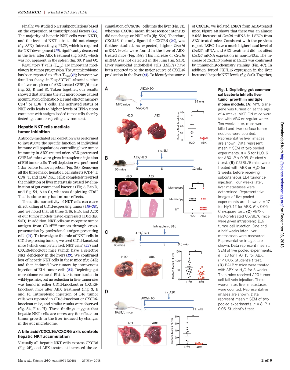 2018-肠道微生物组介导的胆汁酸代谢通过NKT细胞调节肝癌.pdf_第3页