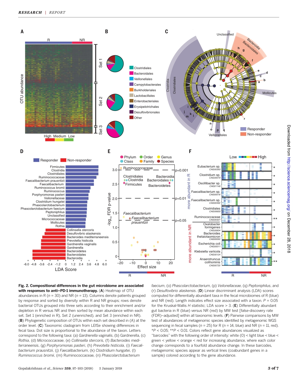 2018-肠道微生物组调节黑素瘤患者对抗PD-1免疫疗法的反应.pdf_第3页