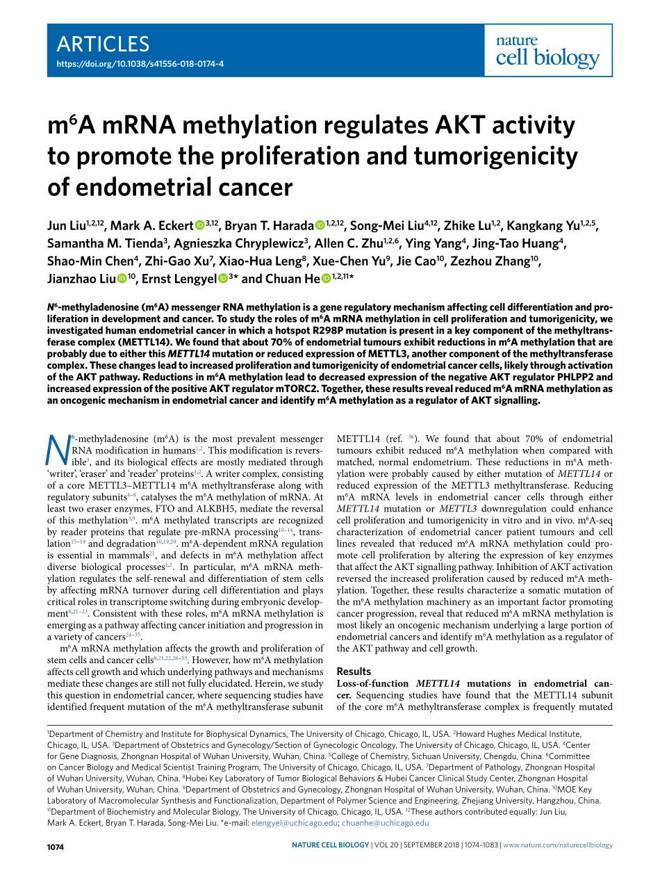 3、Nat. Cell Biol. 2018-m6a基因甲基化调控Akt活性促进子宫内膜癌的增殖和致瘤性(1).pdf_第1页